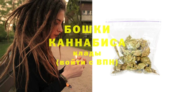 PSILOCYBIN Беломорск