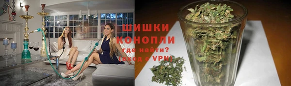 PSILOCYBIN Беломорск